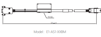 E1-AS1-XXBM